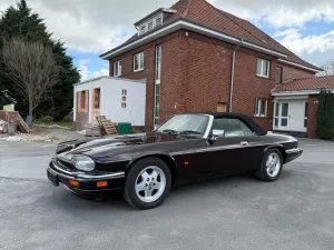 Jaguar XJS Autom/Leder/Klima/DeutschesModell