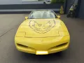 Pontiac FIREBIRD V8 Cabriolet