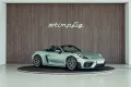 Porsche Boxster Spyder RS, PTS Icegrünmetallic, CXX