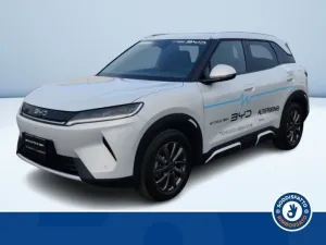 Other BYD Atto 2 DM-i Boost