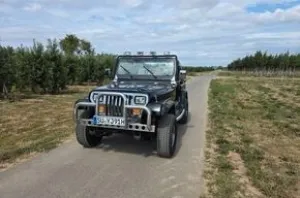 Jeep Wrangler 4.0 YJ  1991 Oldtimer