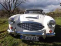 Austin Healey 3000 MK 1 - BN 7- Genau das richtige Model!