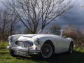 Austin Healey 3000 MK 1 - BN 7- Genau das richtige Model!