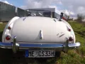 Austin Healey 3000 MK 1 - BN 7- Genau das richtige Model!