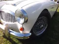 Austin Healey 3000 MK 1 - BN 7- Genau das richtige Model!