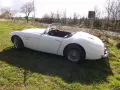 Austin Healey 3000 MK 1 - BN 7- Genau das richtige Model!