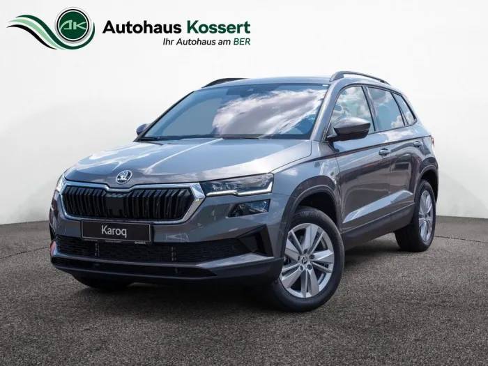 Skoda Karoq 2.0 TDI Selection 4x4 SHZ KAMERA NAVI AHK