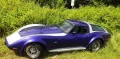 Corvette C3 Greenwood SportWagon, one of only twenty four