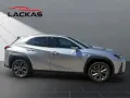 Lexus UX 250h*F-SPORT-D*1.HD*NAVI*SHZ*CARPLAY*PDC*