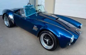 Cobra Cn Cobra