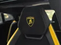 Lamborghini 4.0 V8 Performante*FULL Carbon*PPF Full*PANO*23*