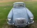 MGA