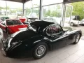 Jaguar XK 120 - die Superkatze!