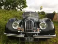 Jaguar XK 120 - die Superkatze!
