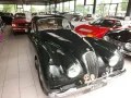 Jaguar XK 120 - die Superkatze!