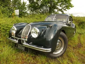 Jaguar XK 120 - die Superkatze!