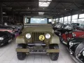 Jeep Willys CJ-5 - total Wetterfest und 
