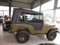 Jeep Willys CJ-5 - total Wetterfest und 