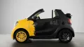 Smart Final Collector´s Edition, einer von 21 !!!