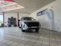 DFSK Fengon E5 ,279PS, 360Kamera, Sofort Verfügbar