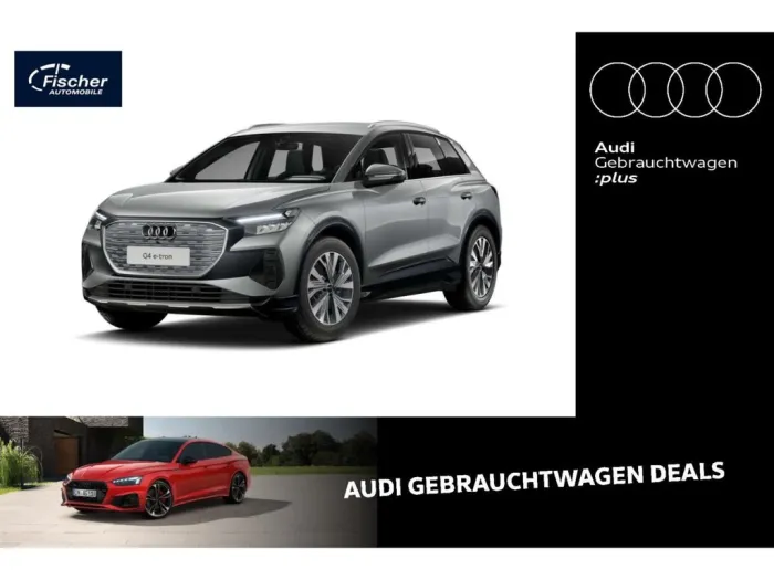 Audi Q4 e-tron Advanced 45 W-Pumpe/ACC/RFK