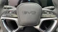 BYD Sealion 7 AWD Design AHK abnehmbar Alu KA LED Li