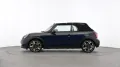 MINI Favoured Trim