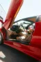 Lamborghini Diablo, 45,000 EUR engine rebuild