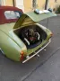 Volkswagen GR California Ostermann  Cabrio Roadster V...