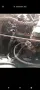 Jeep Willys