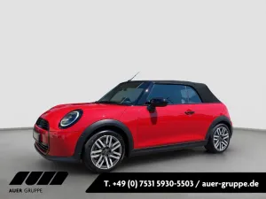 MINI Cooper C Cabrio (LED HUD Leder Shz PDC)