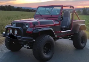 Jeep Wrangler YJ 4.2 LPG-H Zulassung-Hardtop-Türen-