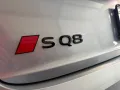 Audi SQ8 4.0 TFSI quattro SILBER/CARBON/BLACK PLUS