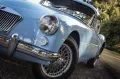 MGA 1600