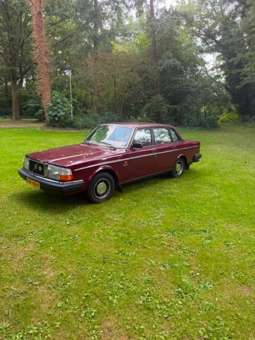 Volvo 244 1984 diesel Bordeaux rood 