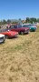 Peugeot oldtimer Peugeot 404 sofort zu Verkaufen