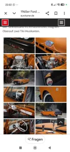 Ford F 100