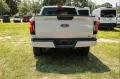 Ford F 150 Lightning Flash gr Batterie im Vorlauf+ 11