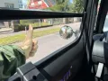 Fiat Topolino, nur 350 km, unfallfrei