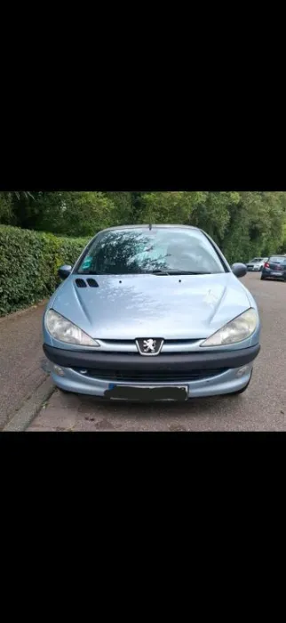 Peugeot 206 - EZ 2001 - 161.000km