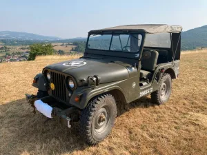 Jeep Willys M38A1