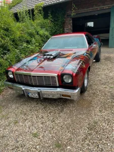Chevrolet  Cl Camino