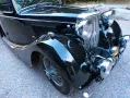 Jaguar Andere