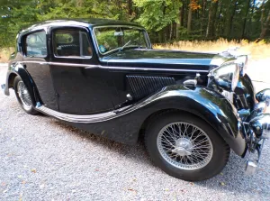 Jaguar Andere