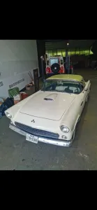 Ford Thunderbird 1955 V8 