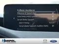 Mazda 3 2.5L e-SKYACTIV G 140ps SHZ NAVI ACC HUD LED