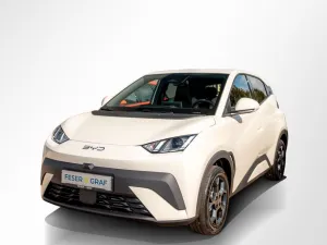 BYD Dolphin Surf Comfort 43,2 kWh/360°/SHZ/DAB/ACC