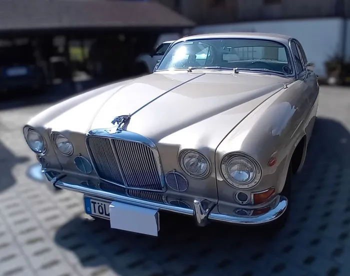 Jaguar Andere