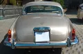 Jaguar Andere