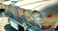 Jaguar Andere